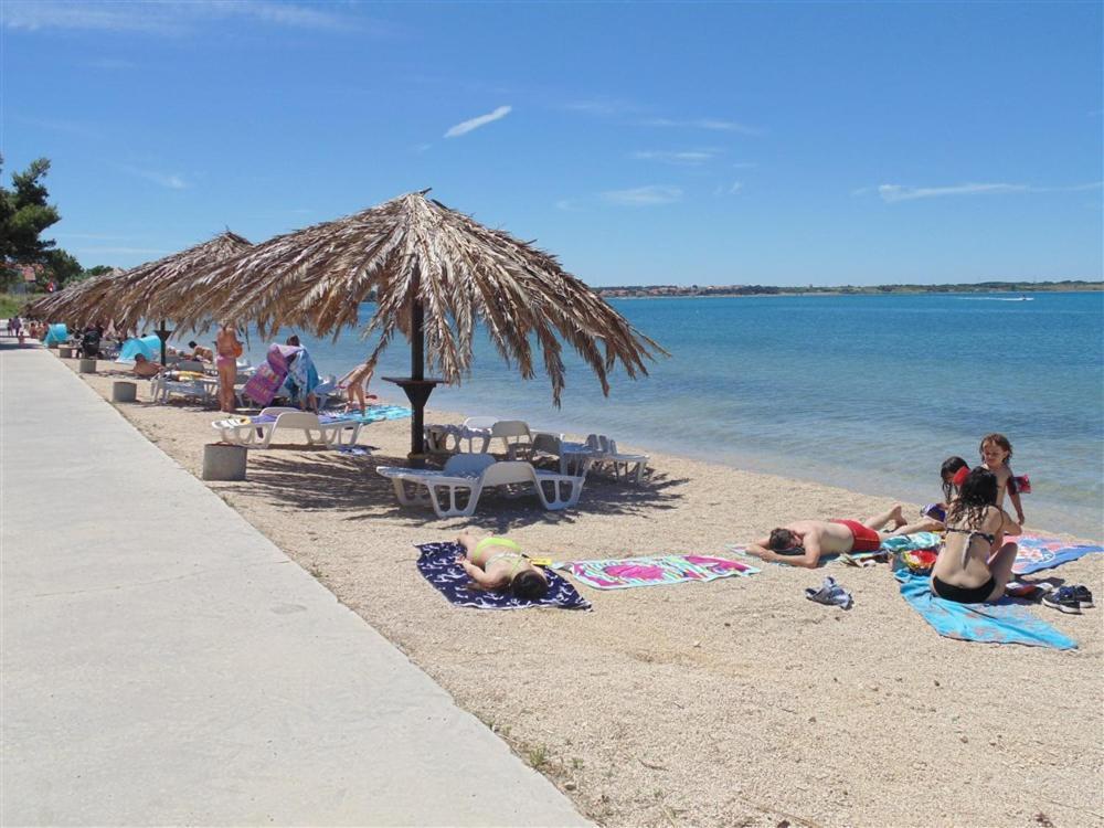 Family Oasis Apartment Zukve Vrsi Dış mekan fotoğraf